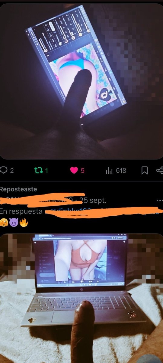 alesexito tweet media