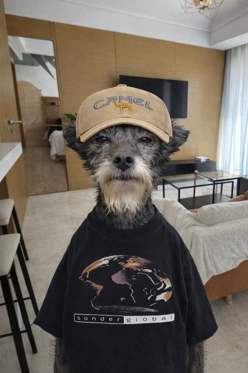 Dembele Sarkozy tweet media