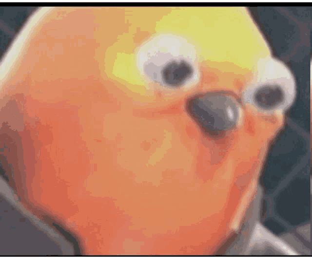 Noybert tweet media