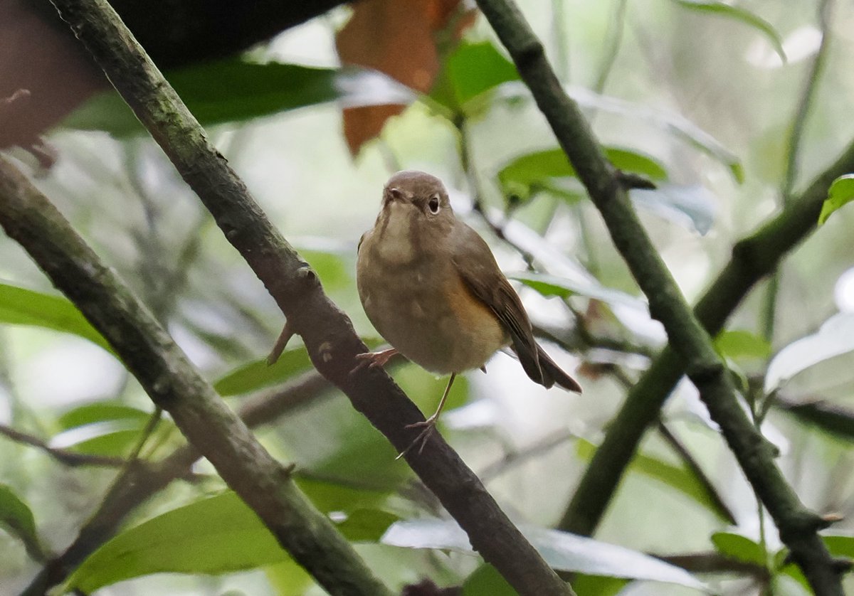 Rob Rackliffe tweet media