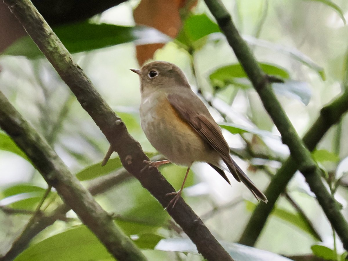 Rob Rackliffe tweet media