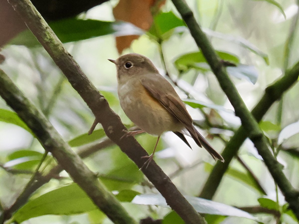 Rob Rackliffe tweet media