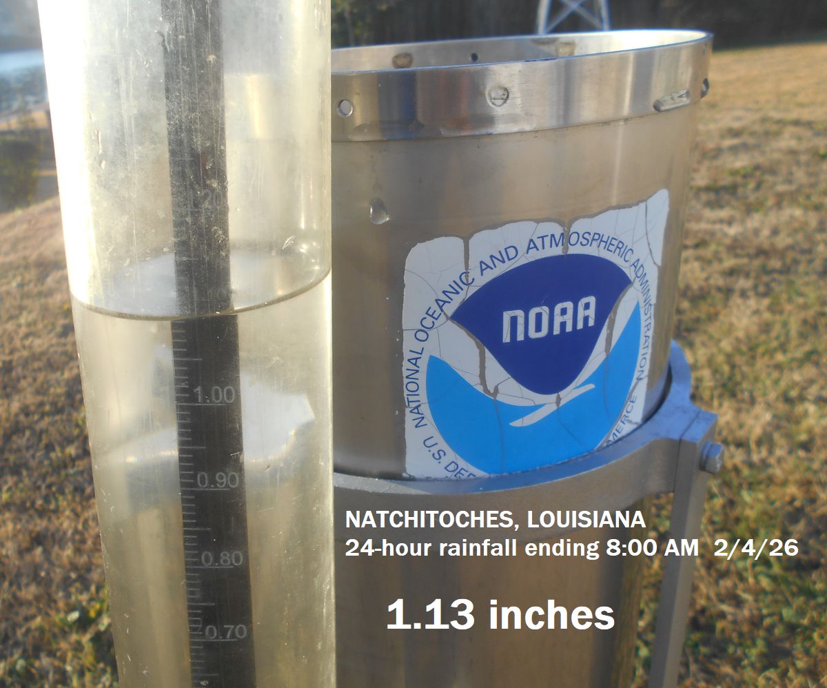 City of #Natchitoches, Louisiana  24 hour rainfall amount ending at 8:00 a.m. today, Feb. 4, 2026 is 1.13 inches.
#lawx