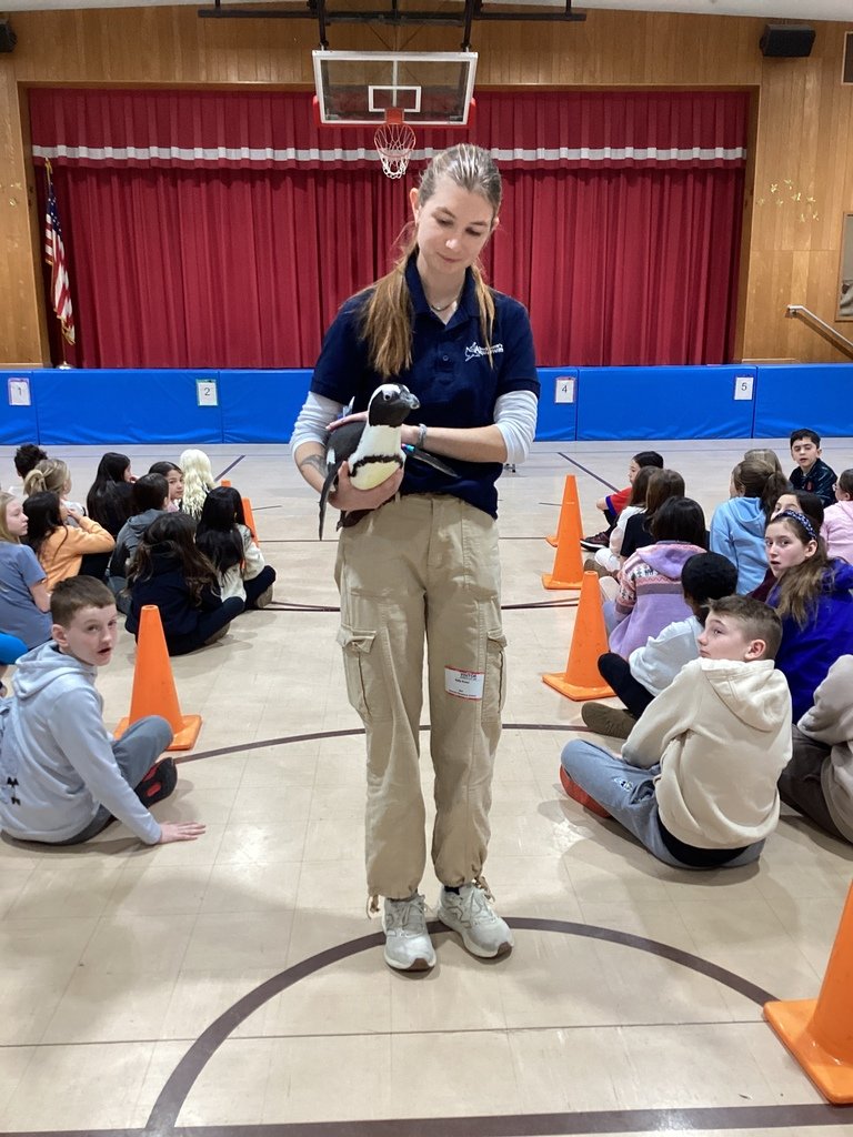Brookside School tweet media