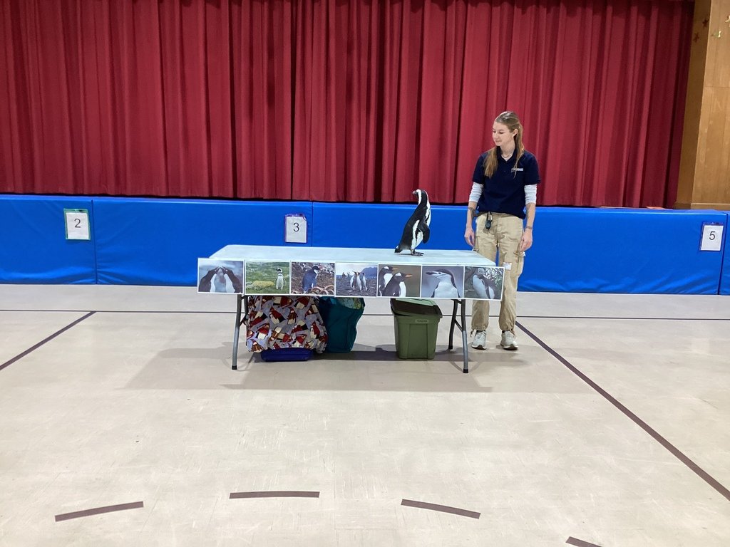 Brookside School tweet media