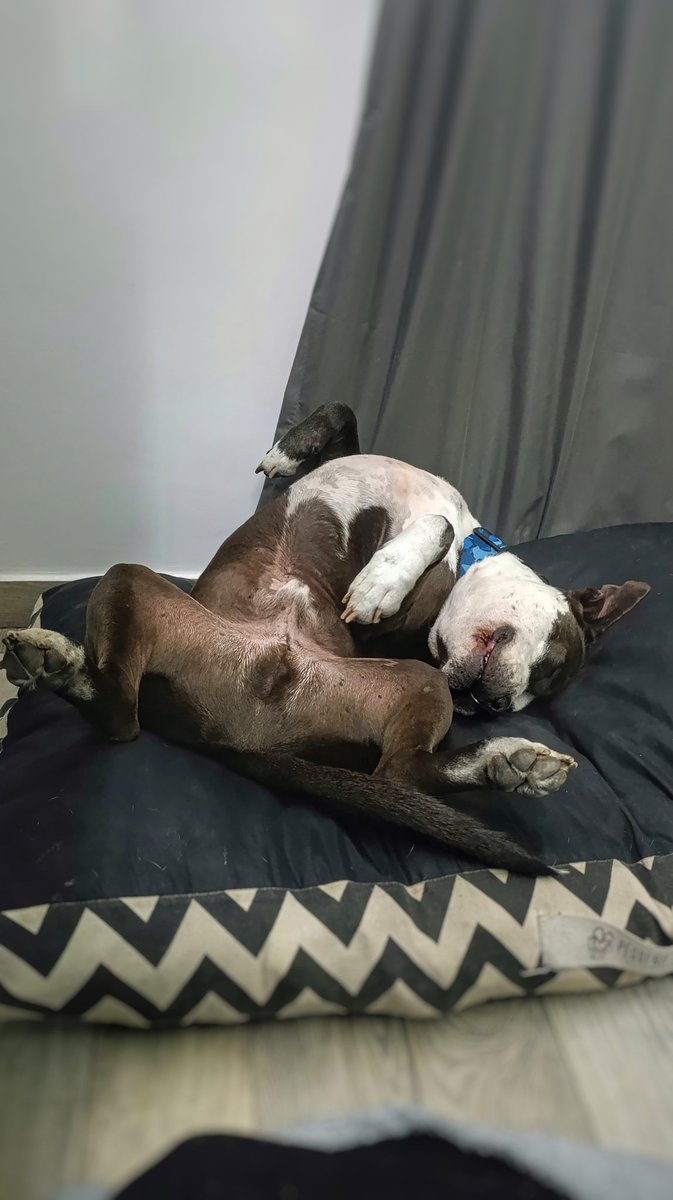 Gabriela Sc ⚡ tweet media