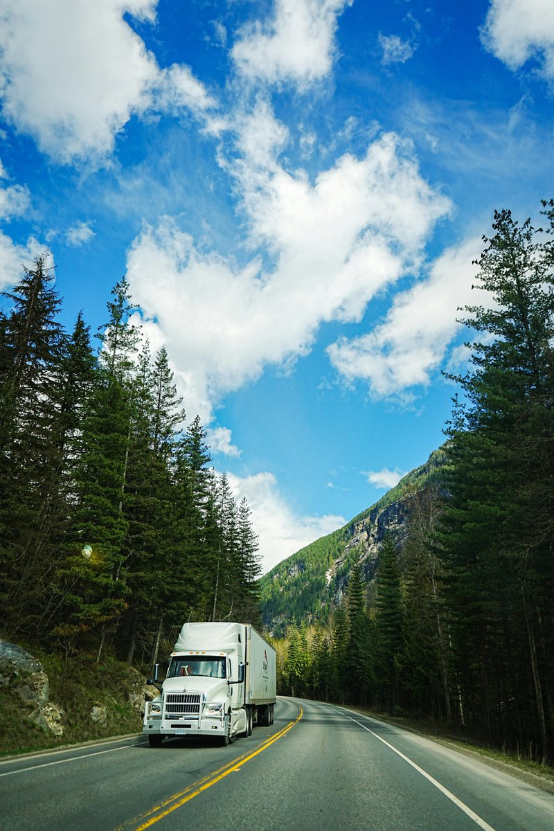 Addison Fleet tweet media