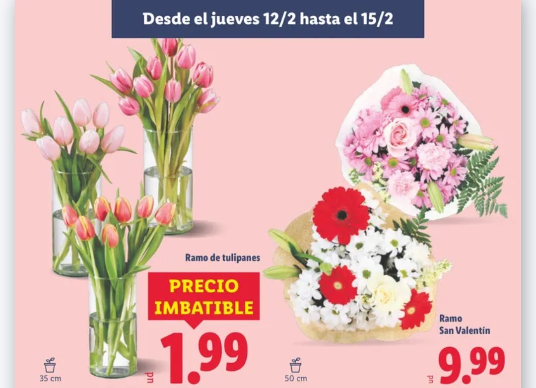 Chavales, si tenéis pareja por 2€/4€ (si cogéis 2 ramos, que queda más vistoso) podéis hacer que sea muuuy feliz. 

De nada por el chivatazo.