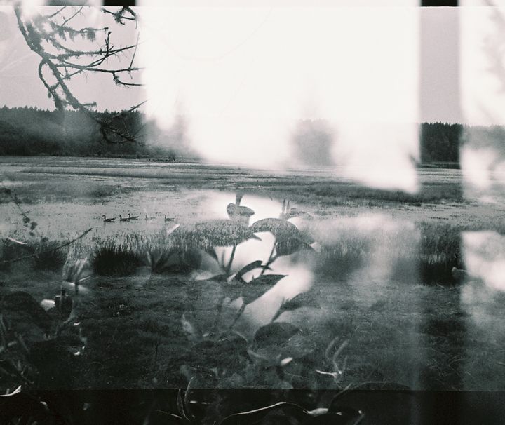 Art of the Day! "Nisqually". Buy at: ArtPal.com/jewelsartphoto…