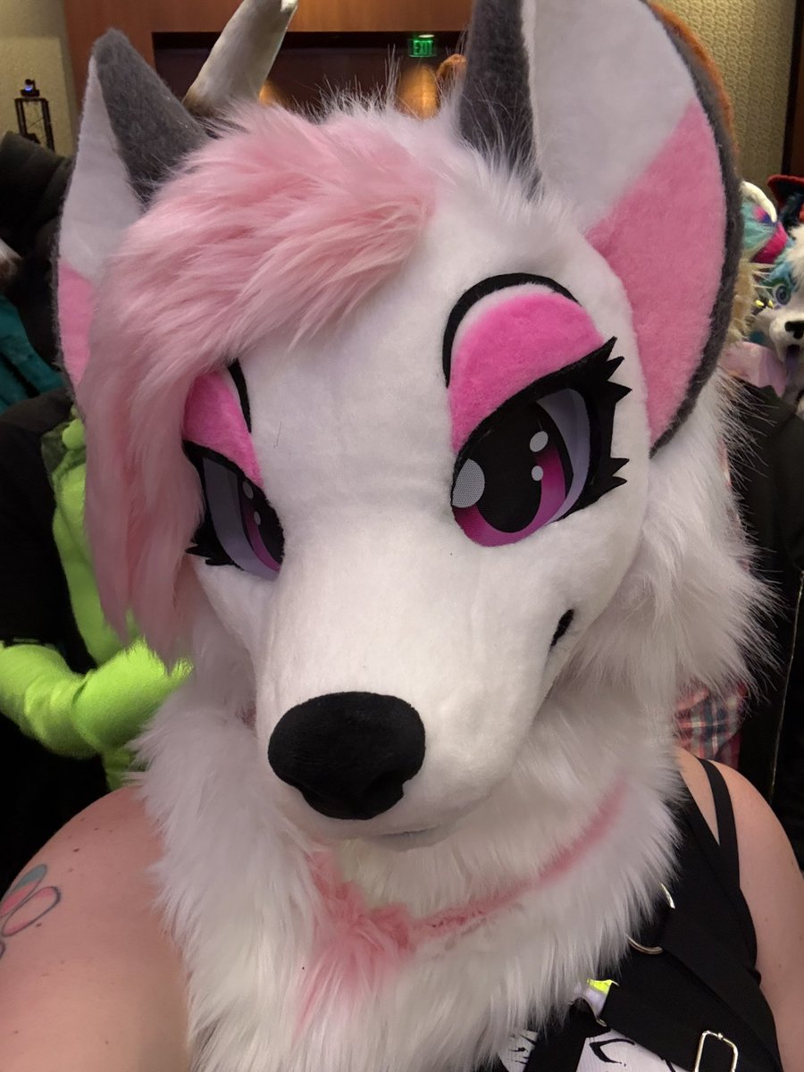 ACE the Fox🔜Megaplex (@Goth_steambath) / Posts / X