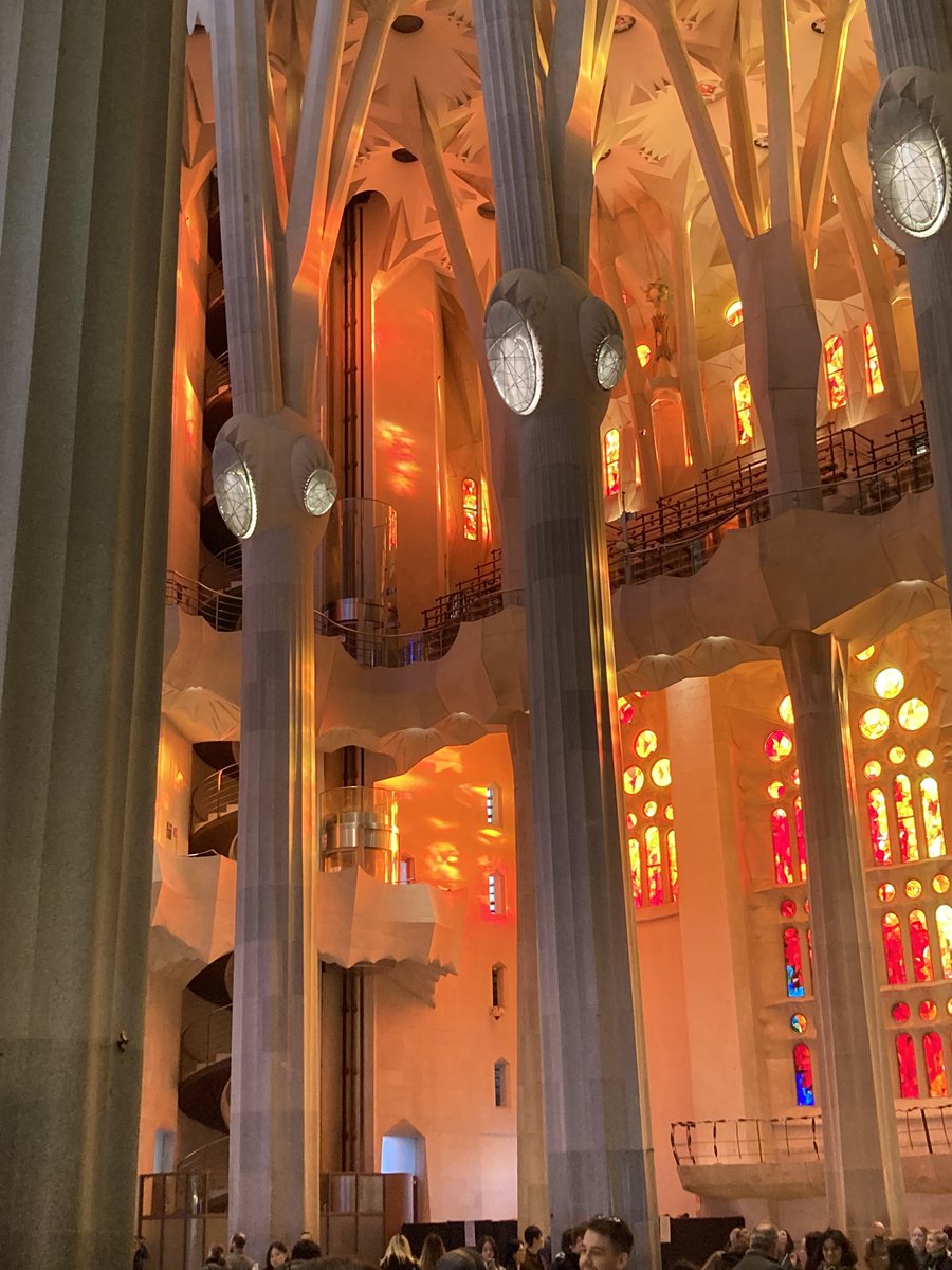 Ms Dempsey tweet media