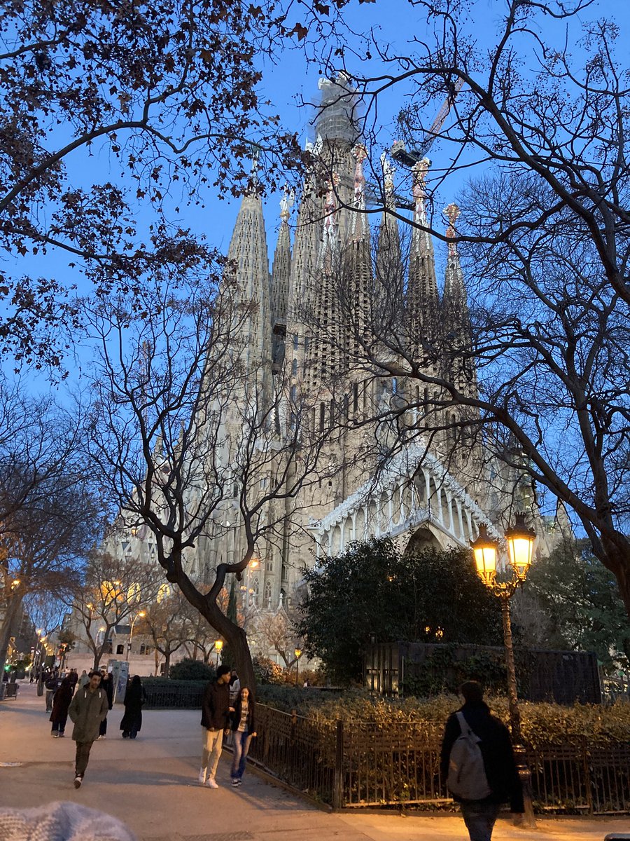 Ms Dempsey tweet media