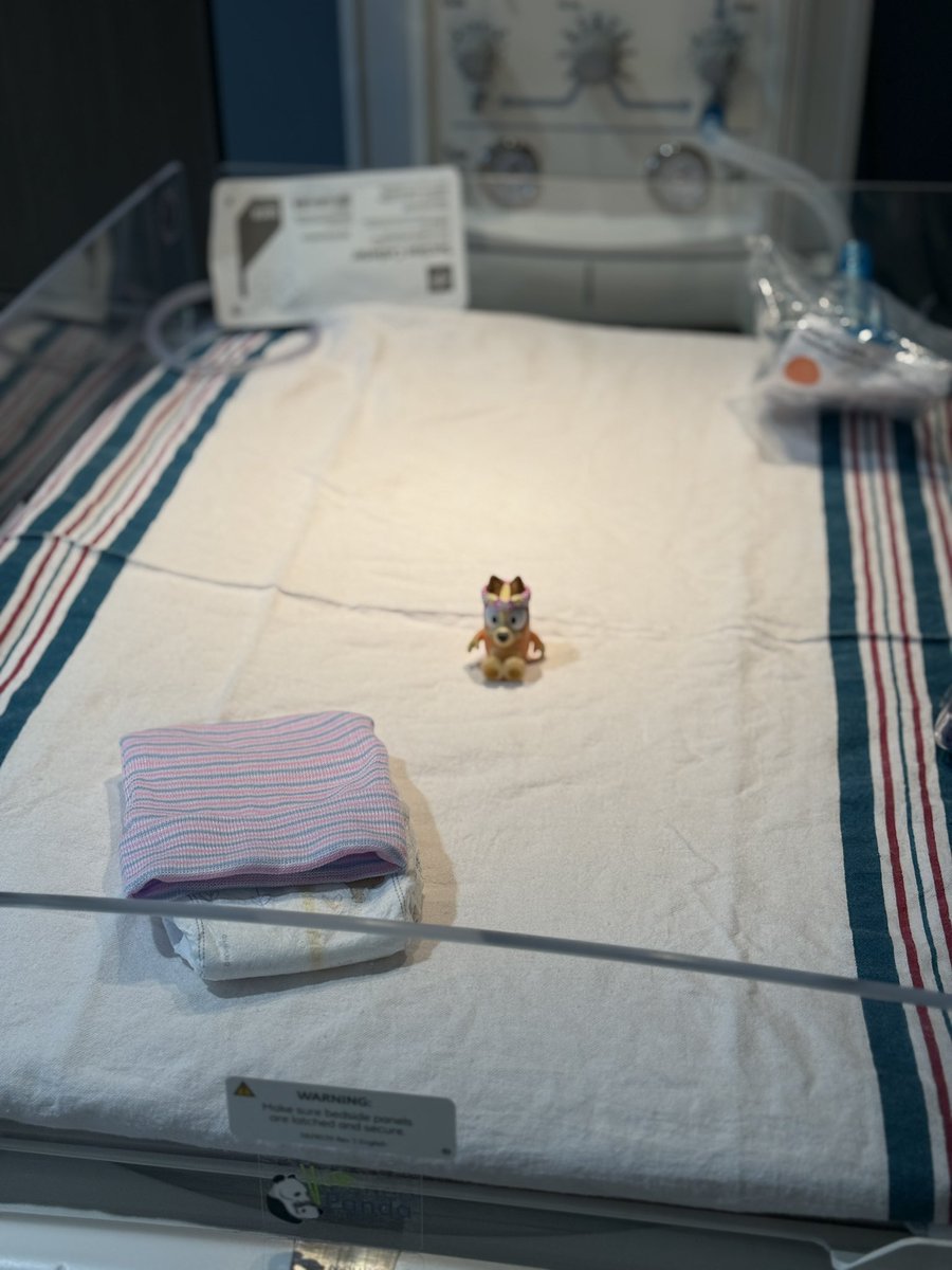 White_Mike89's tweet photo. Little phoebe was born at 323 am this morning! She’s quiet and has dimples! Clementine can’t wait to meet her new little sister! Aight, I’ll post again in 8 months on here 😂 https://t.co/Y9QieQomfE