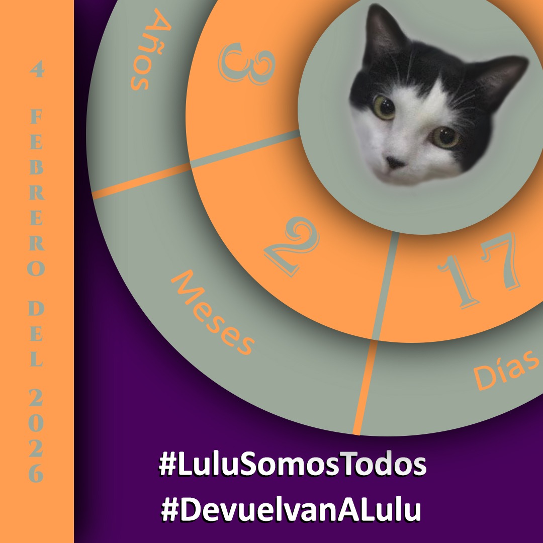 NuriTrejo's tweet photo. #4Feb. #LuluSomosTodos, mi amor y mi fe sean el faro que te guíen para reencontrarnos y retomar nuestro camino juntas. #LuluEsElMilagro. #Seguimos por #JusticiaParaTodos! https://t.co/wAVPchm72K