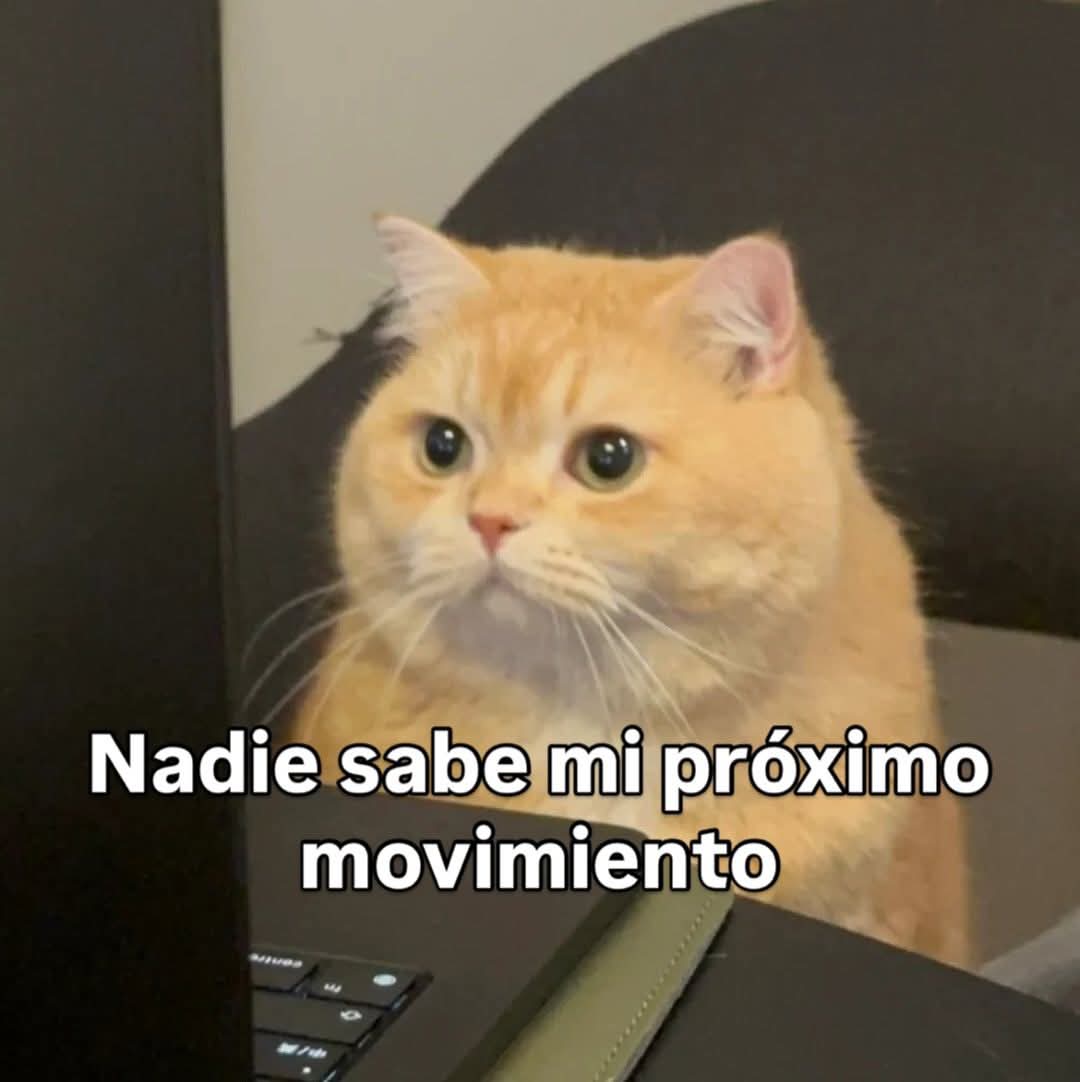 WilliamsF1arg's tweet image. Williams: