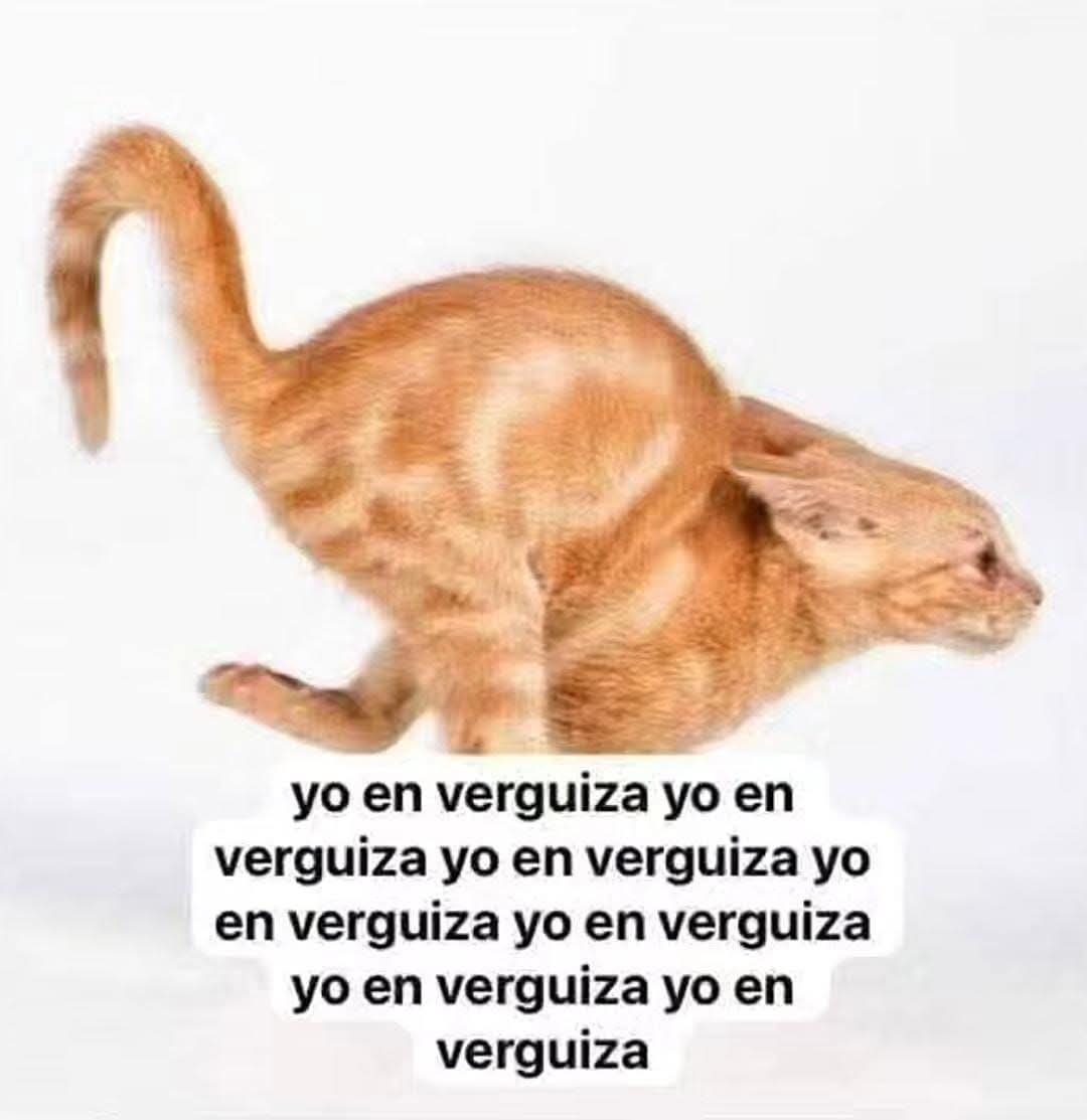 MrPxndx🌱✨ tweet media