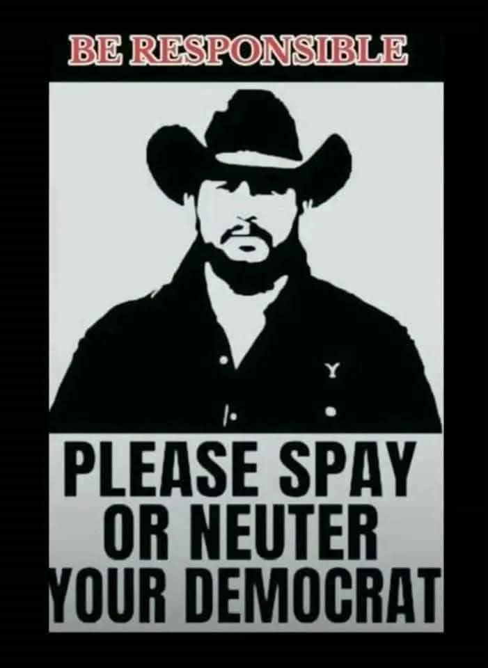 Lindsey Bruce tweet media