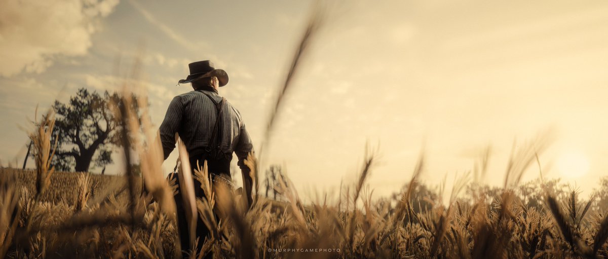 MurphyVP tweet media