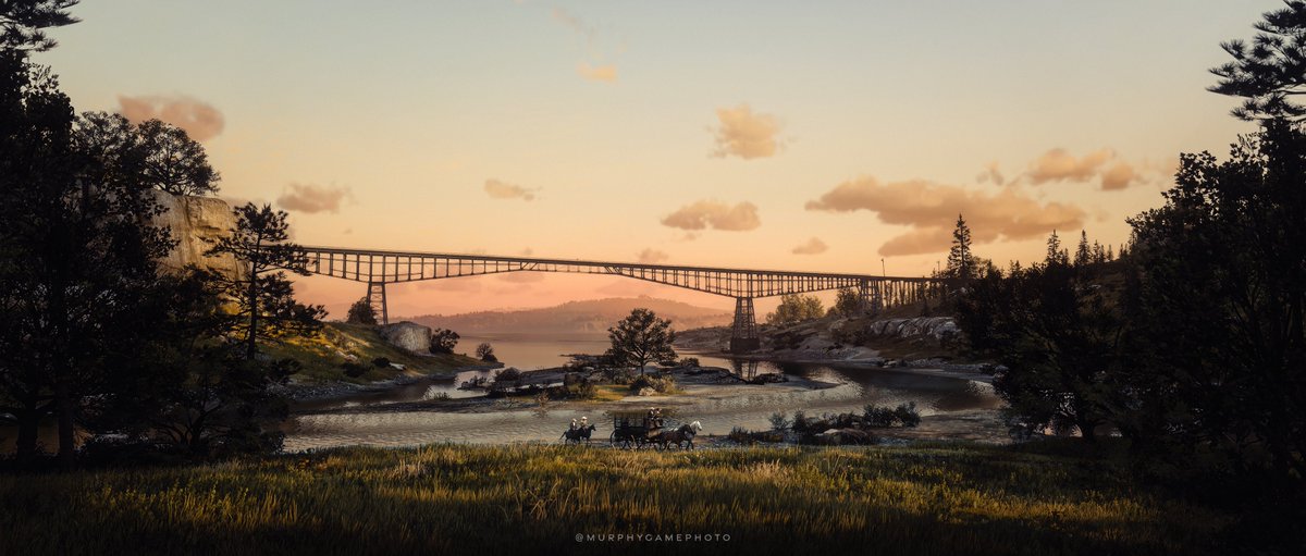 MurphyVP tweet media