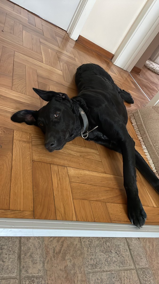 Ljudi, može li još jedan krug podjela za Srećka 👇👇