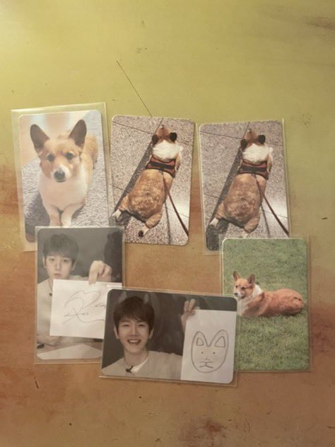 0408light's tweet photo. WTS want to sell baekhyun photocard

All in a set

3.0

백현 포카 큥파 teolaegi https://t.co/cjXRDEwNZl
