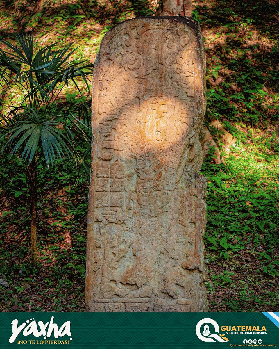 Más que una piedra, es un código eterno. 🔍🗿

Los mayas dominaron el tiempo y el arte, dejando su historia grabada en estelas como esta. ¿Sabías que cada detalle cuenta una victoria, un ritual o el ascenso de un rey? Un destino que debes visitar al menos una vez en la vida. 🇬🇹❤️