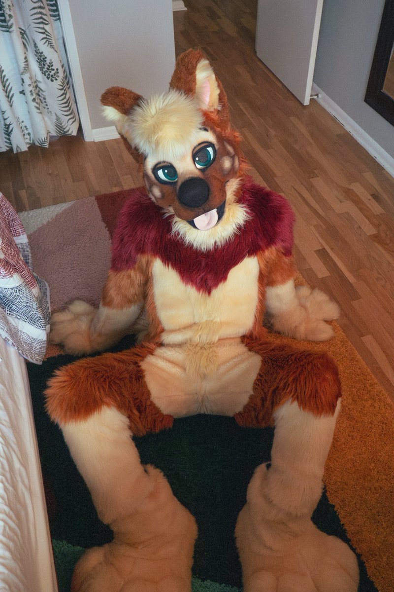 Just a big puppy 🐕