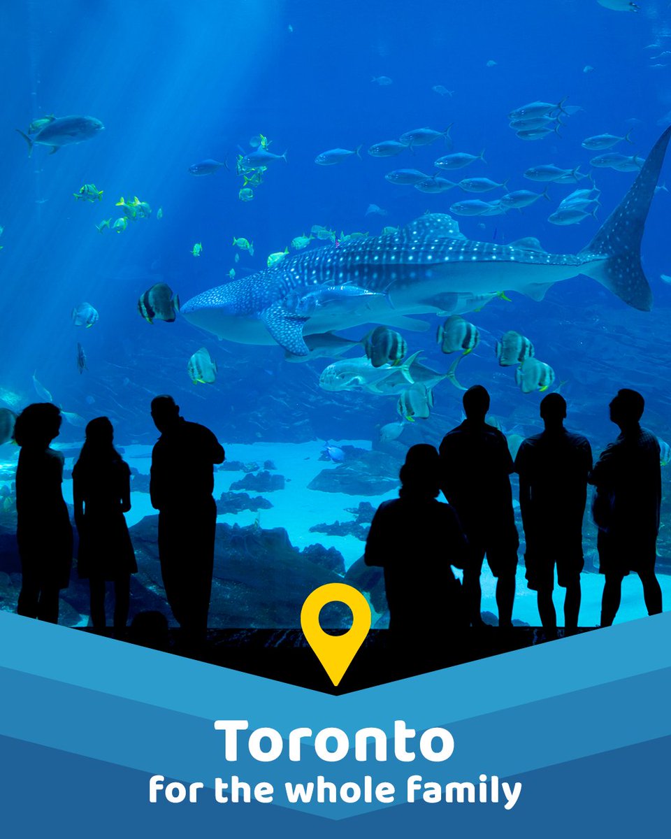 daysinncanada tweet media