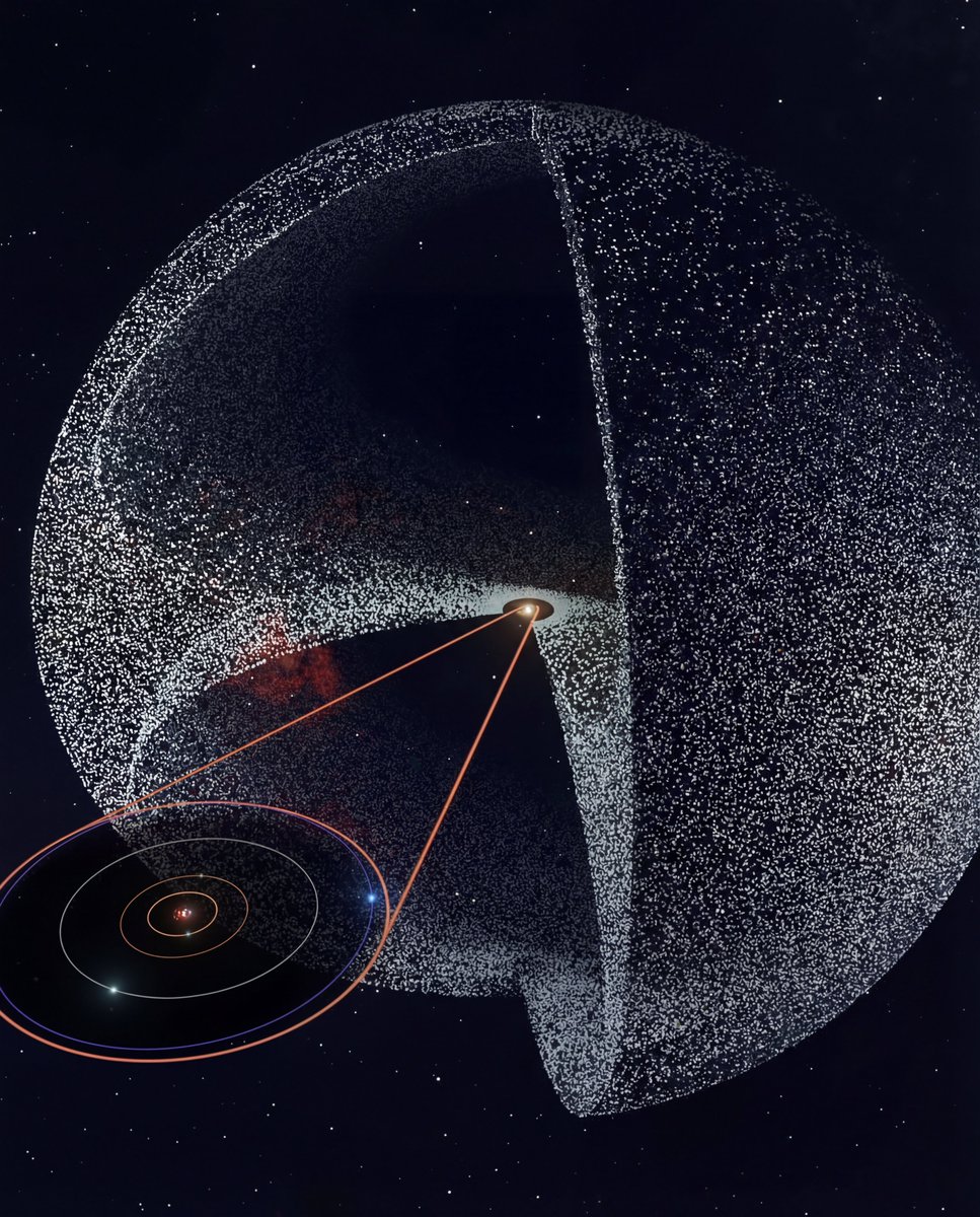 MAstronomers's tweet image. The Oort cloud. Where the solar system ends.