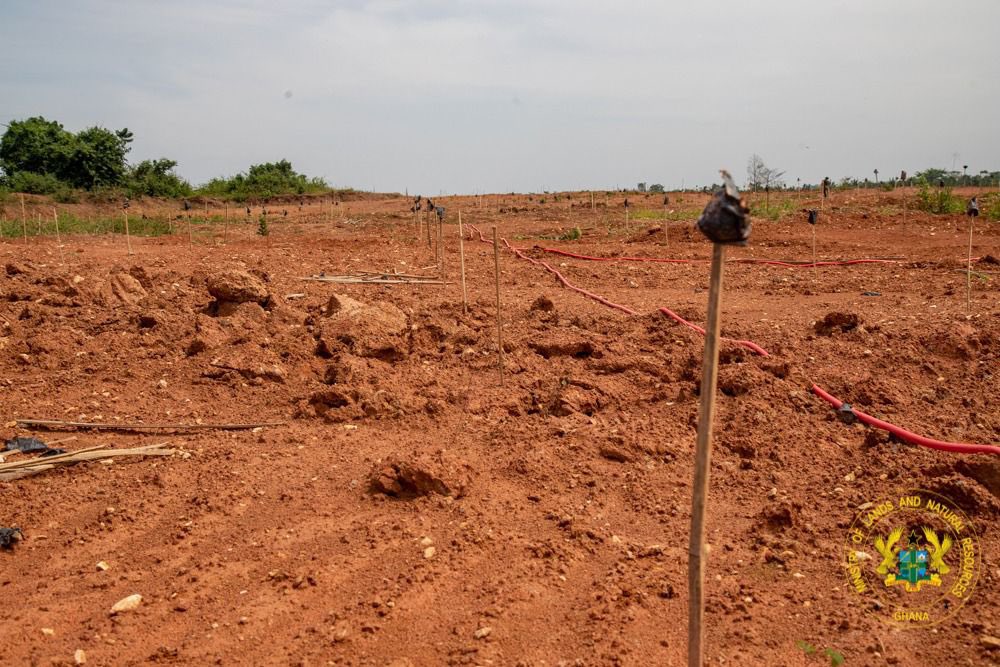ArmahKofiBuah's tweet image. Earlier today, I joined the Ashanti Regional Minister and key directors from the Forestry commission to conduct an official field inspection of the newly reclaimed sites at Manso Nyankomanse and Asare in the Ashanti Region. 

I am proud to share that through a strategic…
