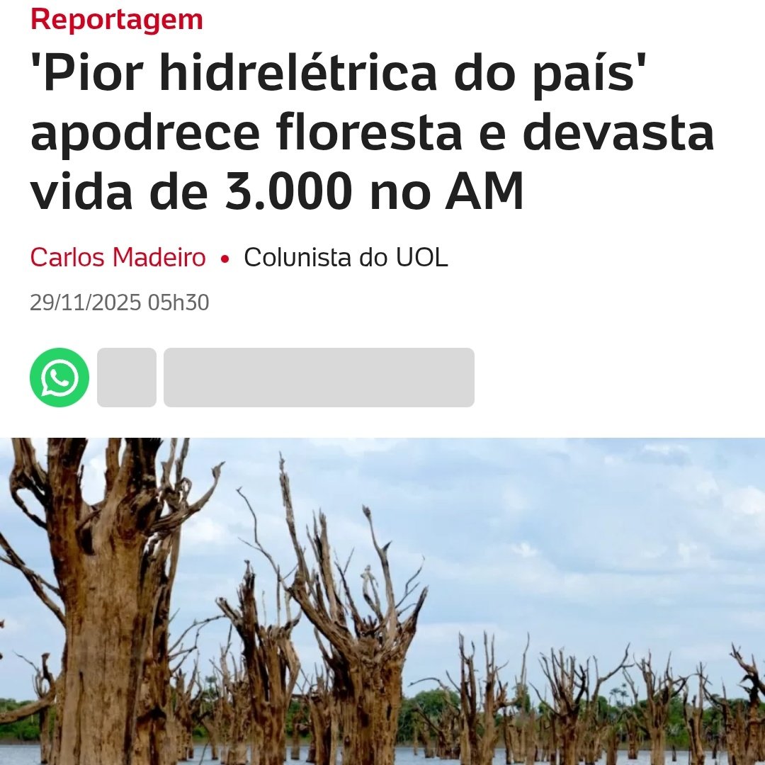 Aroeira 🌿 tweet media