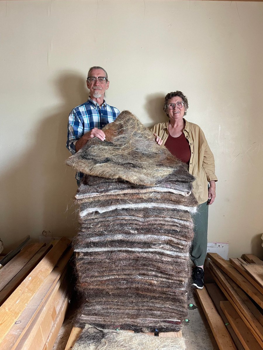 MatterOfTrust's tweet image. Hair Matters Global Hub Partners -Oklahoma Mini Mill – Oklahoma, US 
we are in the business of processing animal fleeces,  for fiber artists to use in their projects. We already had a working shop set-up, and were familiar with wet felting,
