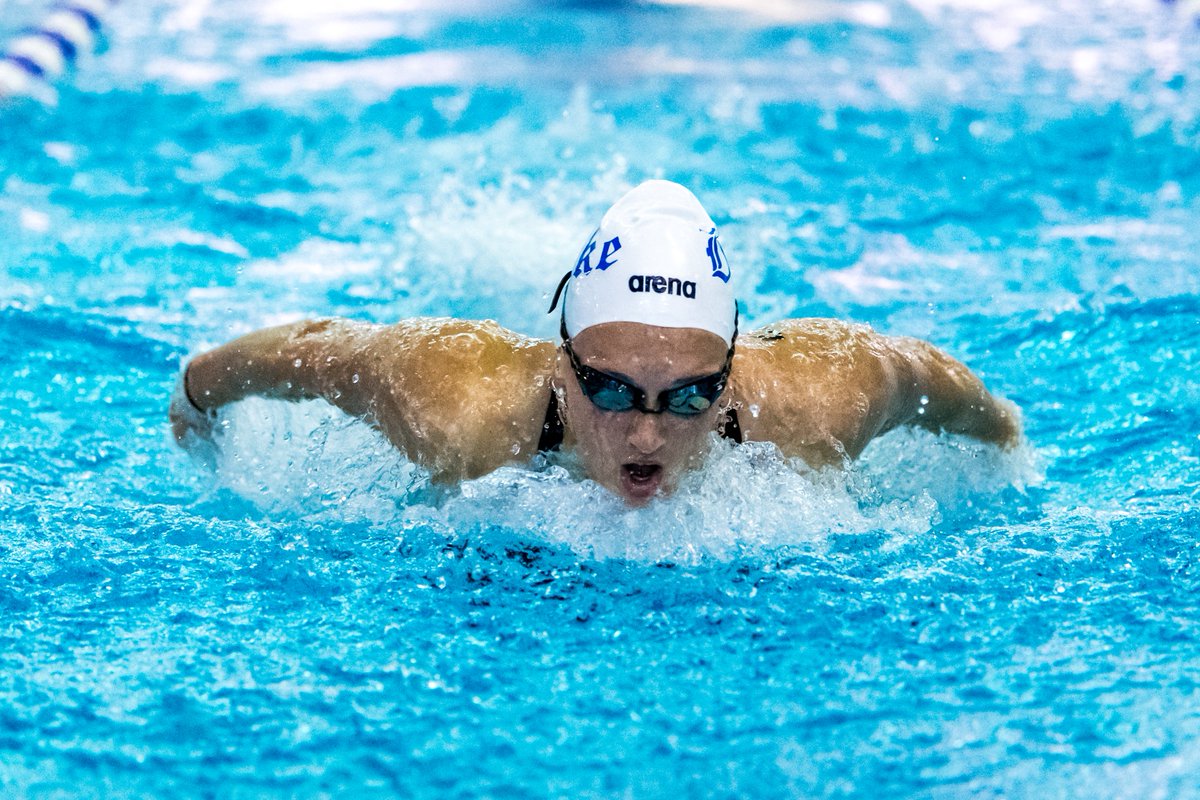 Duke Swimming & Diving tweet media
