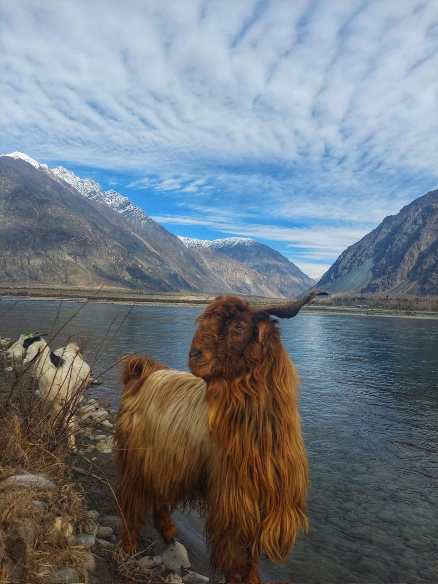 #GilgitBaltistan