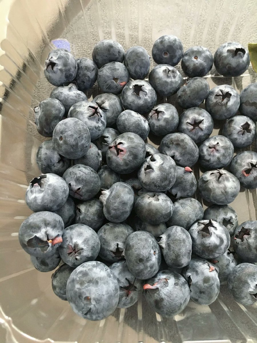 GraceYWas's tweet photo. A dose of blue healing in daily life—sweet, tart, and purely free. https://t.co/DwXKLjrSuC