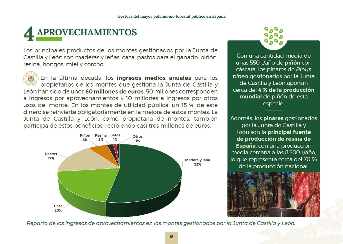 naturalezacyl's tweet photo. Los aprovechamientos en los #MontesPúblicos gestionados por @jcyl dan una media de 60 M €/año a sus propietarios, principalmente municipios.
El 15 % se reinvierte en la #GF del monte
✅Madera 53 %
✅Caza 20 %
✅Pastos 17 %
✅Piñón 6 %
✅Resina 2 %
✅Setas 1 %
#NextGenerationEU https://t.co/1r0DVHqEUa