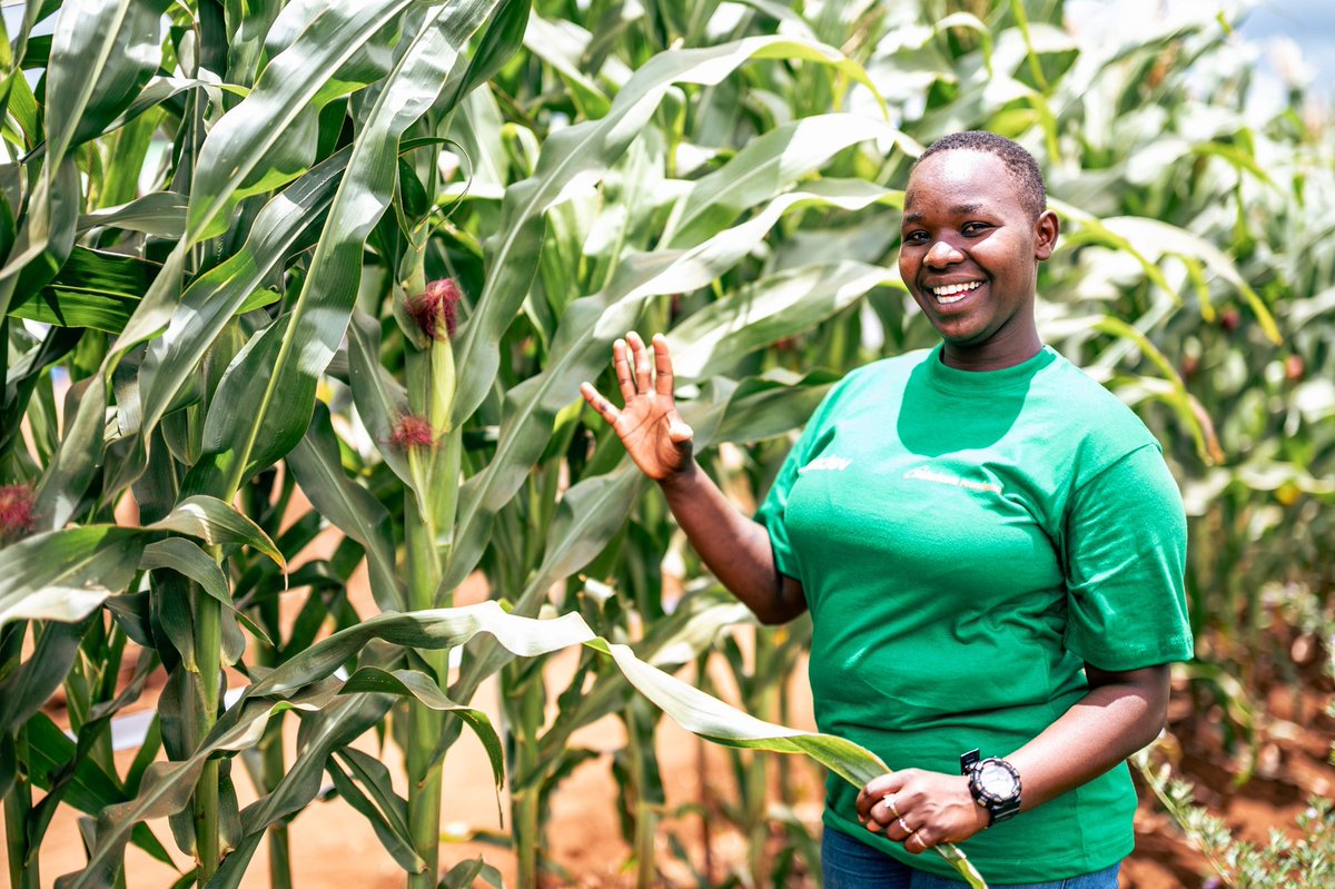 Young people, the future is not waiting in offices alone—it is growing in our soil. Farming is no longer about cutlasses and suffering; it is about innovation, business, and pride. The world must eat every day, and that means agriculture will never go out of demand.