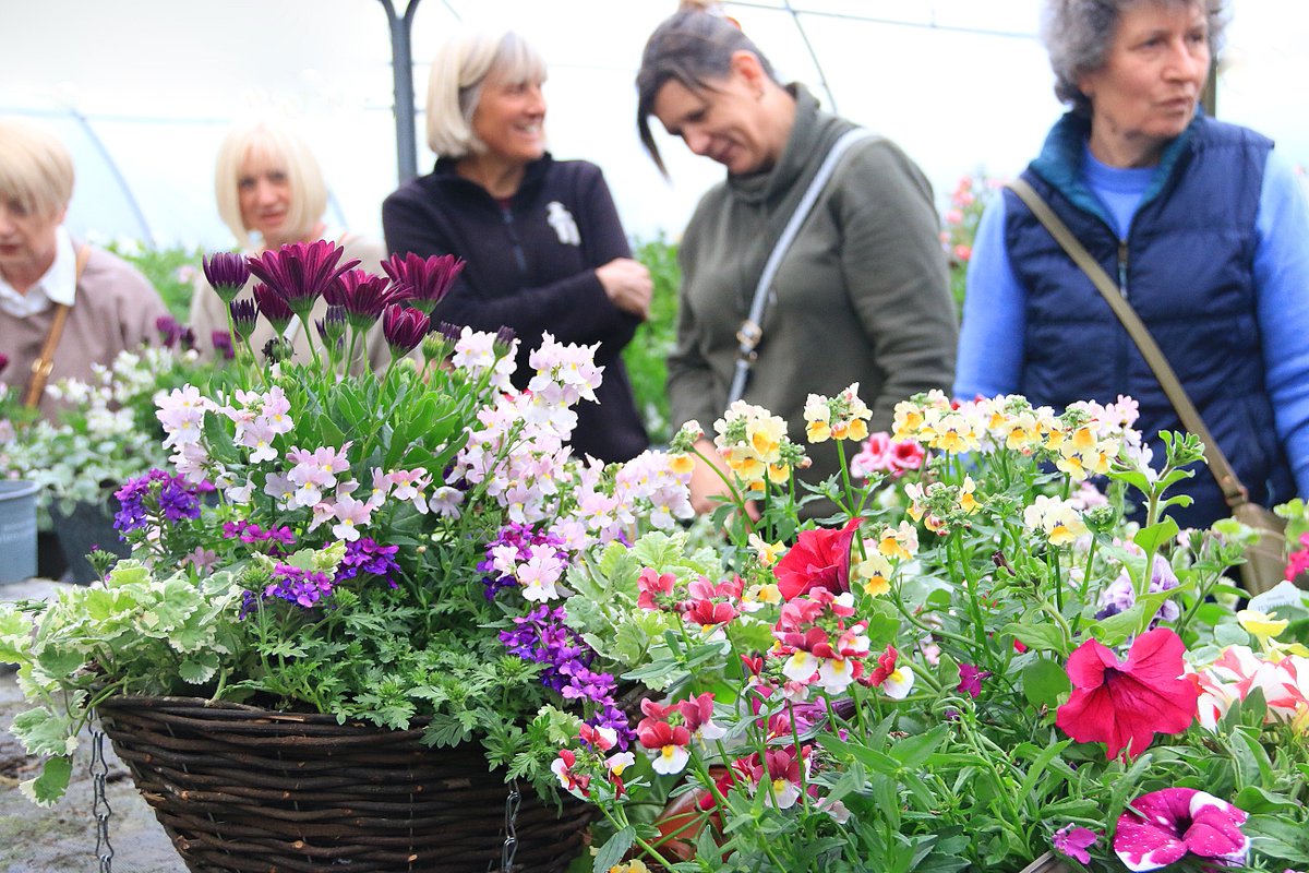 PottyPreston's tweet photo. Do you like making hanging baskets.
Our Garden School has a full programme of gardening workshops. Take a look on website were you can book. thenurseries,com

#gardenschool
#gardennurseries
#hangingbaskets
#growyourown
#cutflowers
#fruitgrowing https://t.co/fq4E3fTRlb