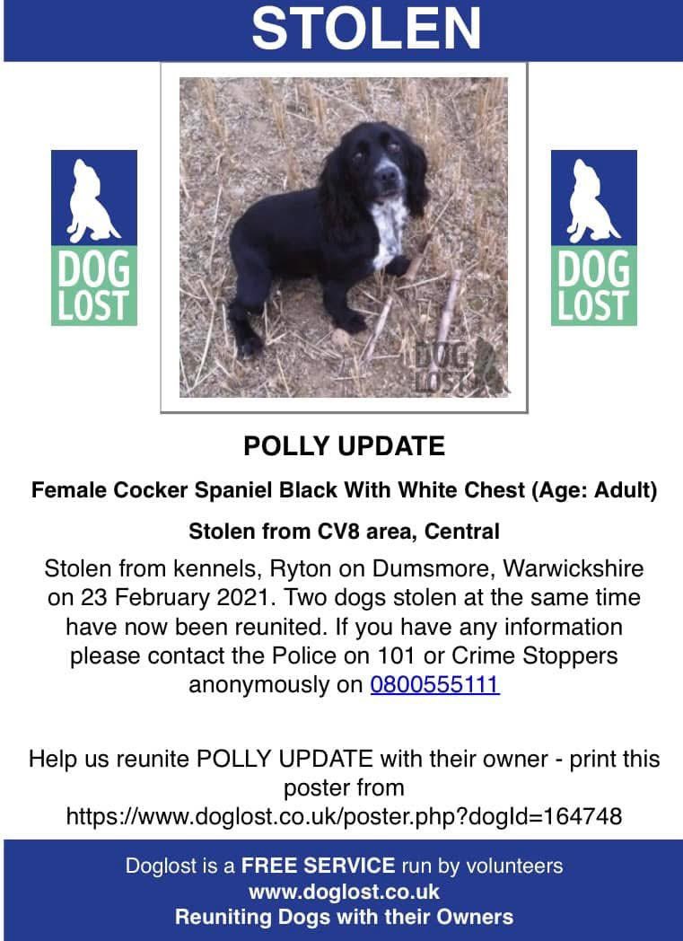rosieDoc2's tweet photo. #SpanielHour
#StolenDogHour 
My names Polly, before I met my family I had an awful life living on a #PuppyFarm 
I’VE BEEN STOLEN - I escaped the thieves but they caught me again - I was soooo scared 
23/2/21 #CV8 I loved my new family so much 😓 

https://t.co/ONTaZXViCF https://t.co/kHh3qIXuCZ