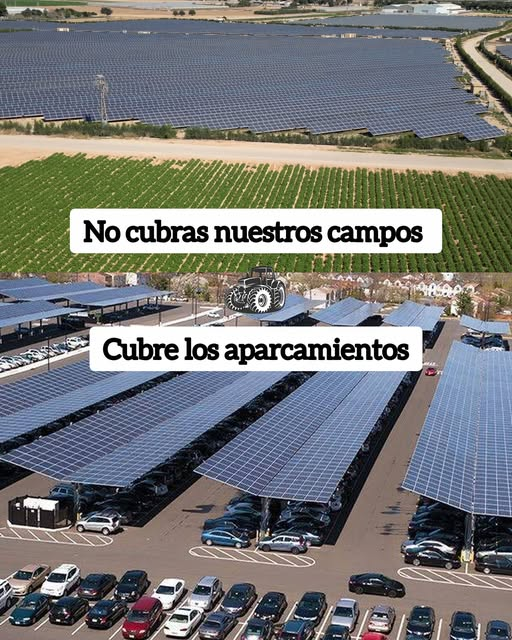 PEPE, en Español (@pepeluspain) on Twitter photo 