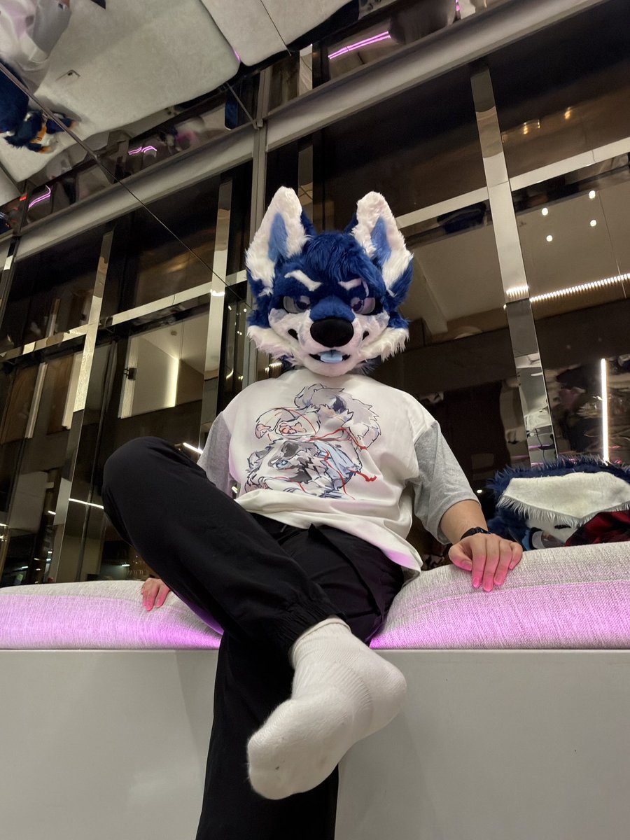 Vald威尔德 tweet media