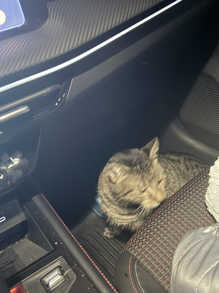 mimi ⸆⸉ ❤️‍🔥 tweet media