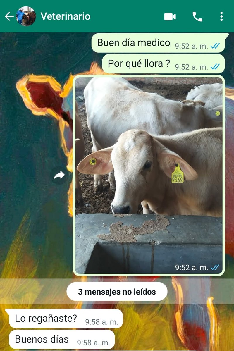 Animalitos en aprietos. tweet media