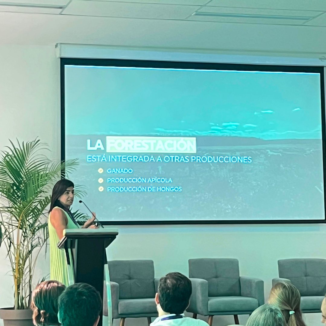 Sociedad de Productores Forestales tweet media