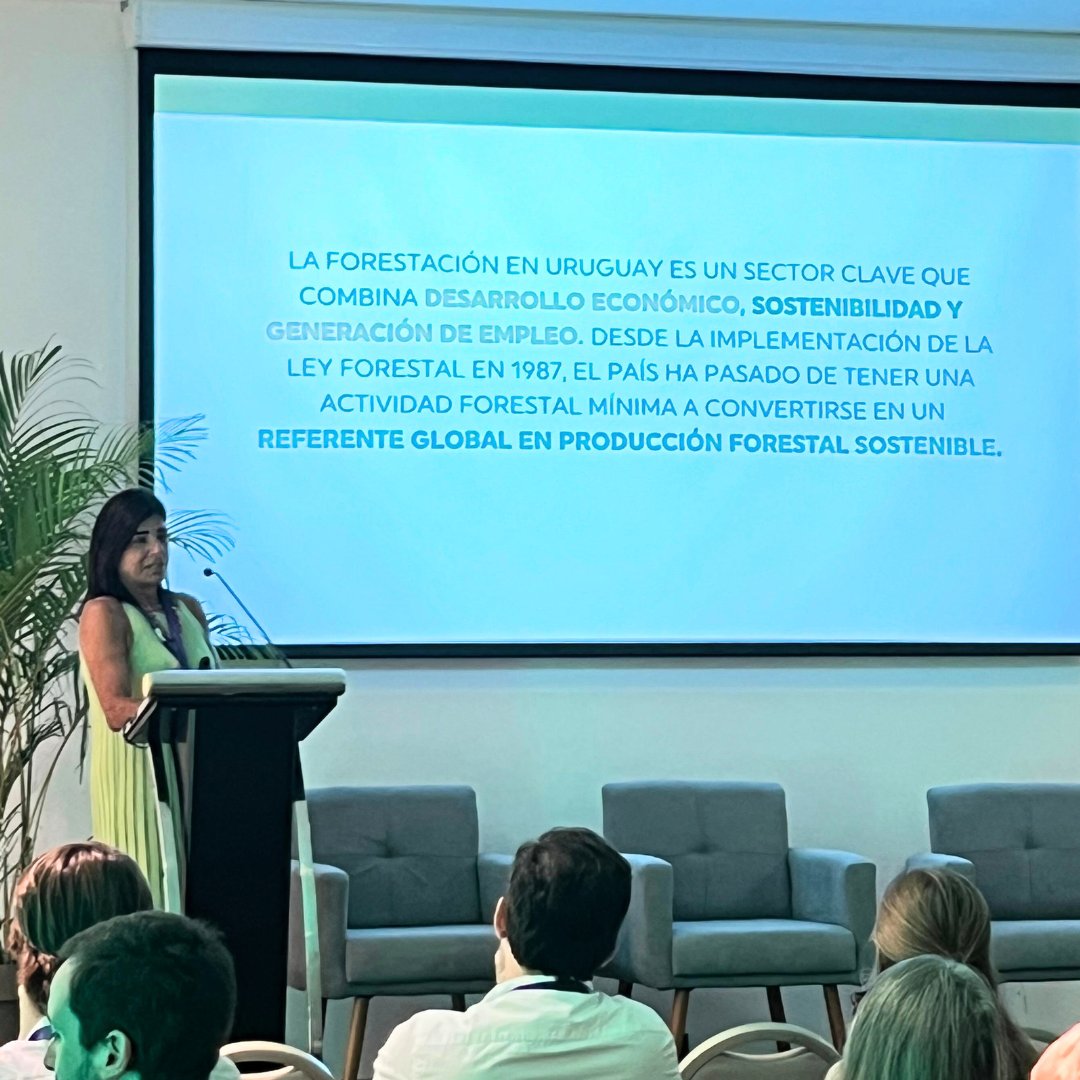 Sociedad de Productores Forestales tweet media