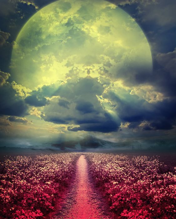 antonella4468's tweet image. Buonasera mondo di X!!!..🙋‍♀️🌕🌍
#savetheworld🌈