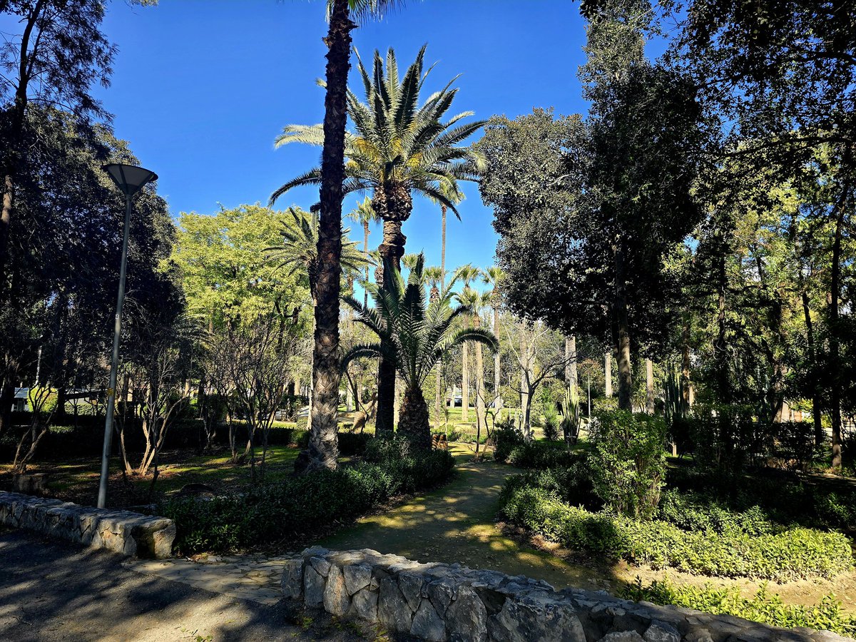 Sylvana Pilidou tweet media