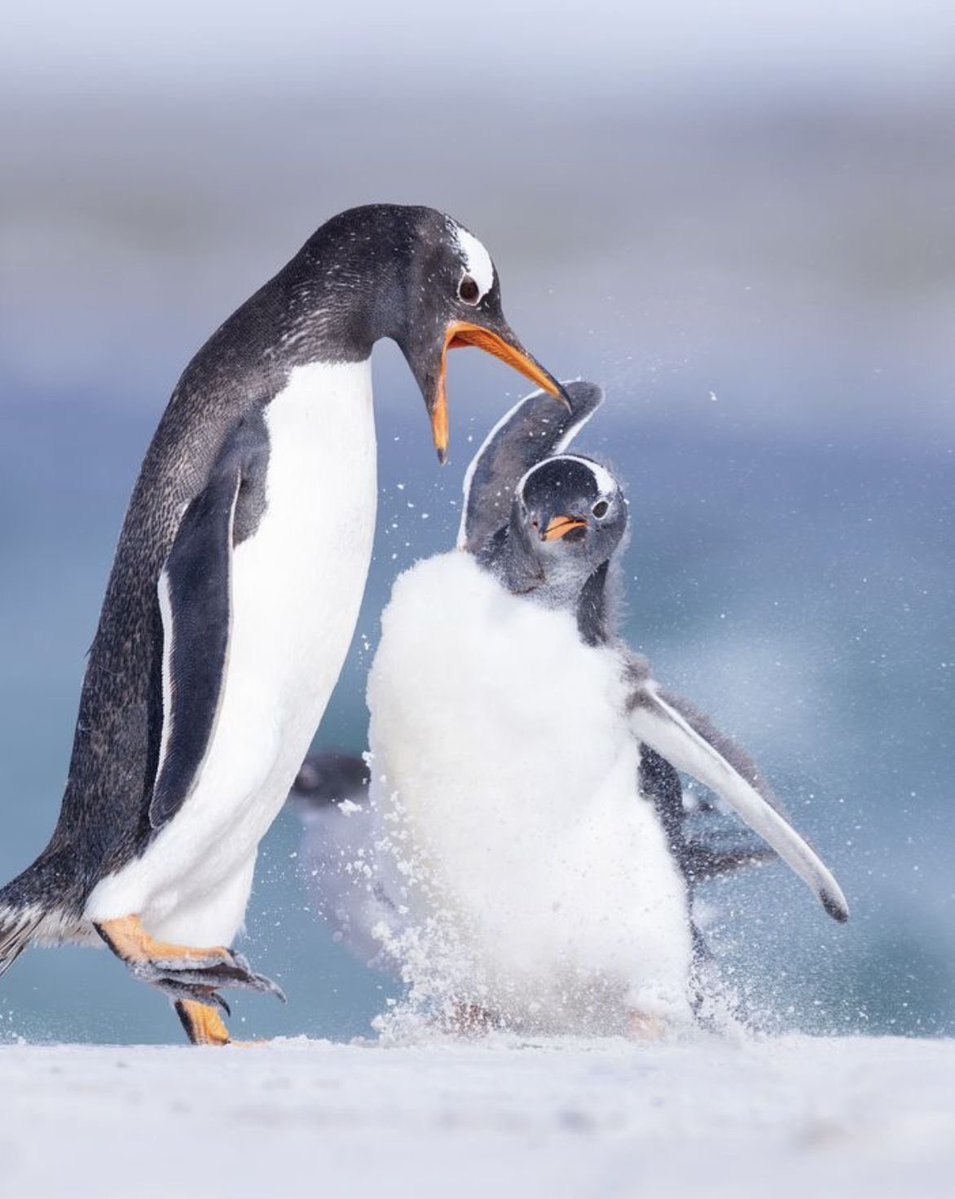 kindfishfriend's tweet image. 💥