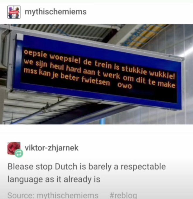 memes to save tweet media