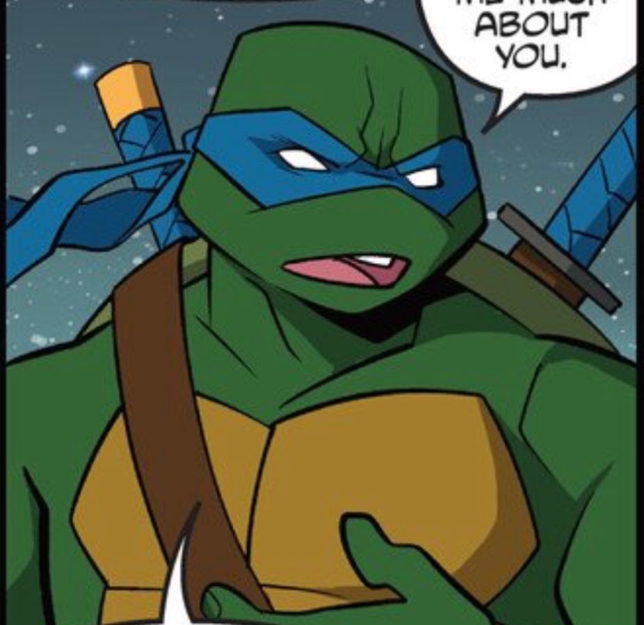 I adore how almost everyone looks like they were pulled straight out of their respective series

Yea this is definitely the best TMNT crossover